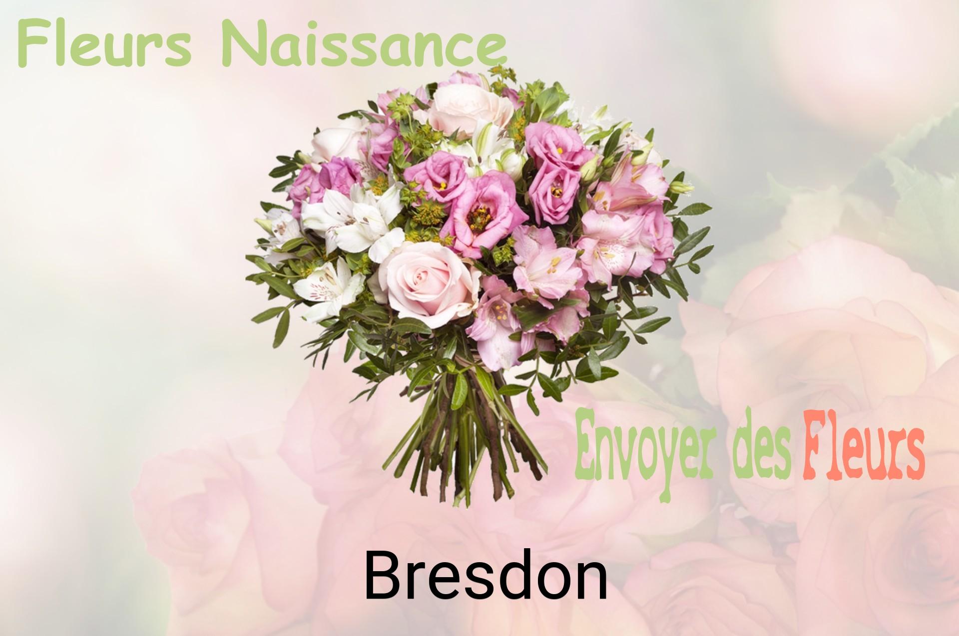 Bouquet de fleurs de naissance livré à Bresdon